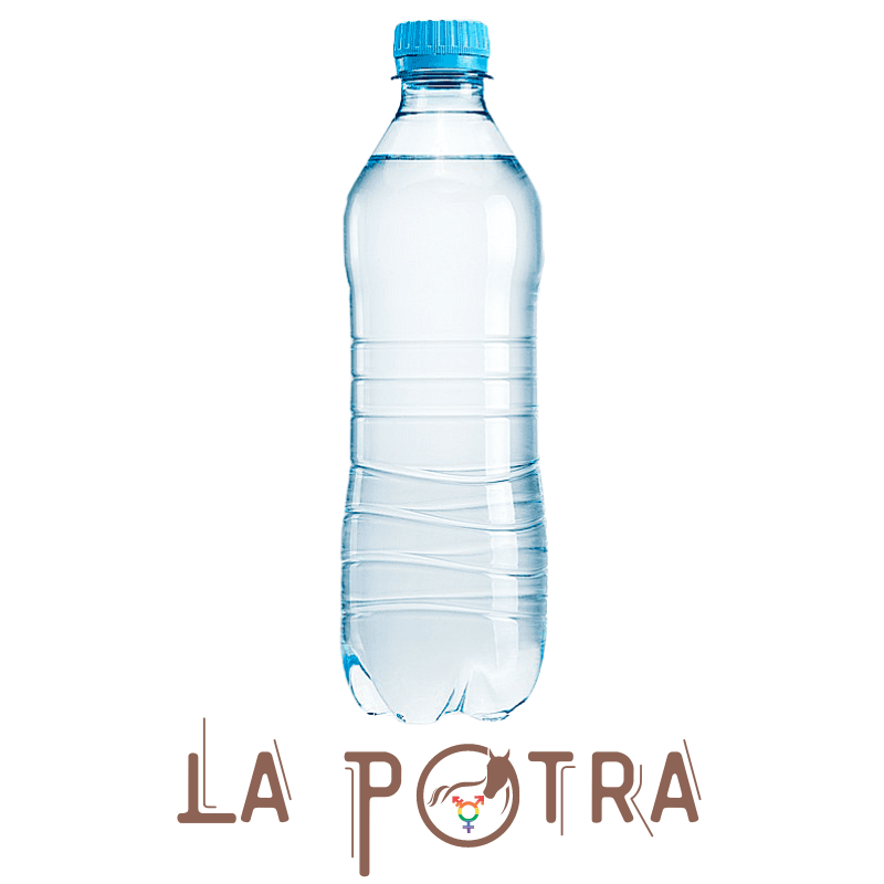 Agua - 600 ml