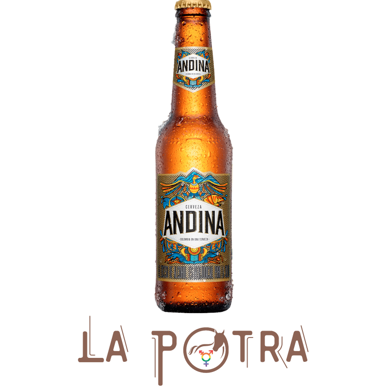 Andina 4.0° - 330 ml