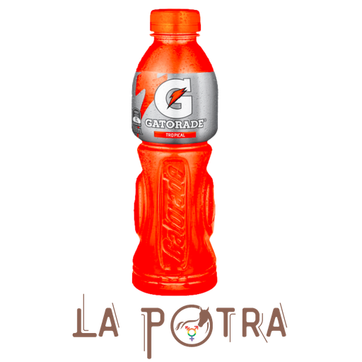 Gatorade - 500 ml