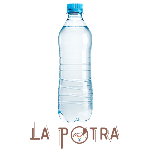 Agua - 600 ml