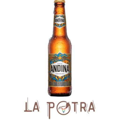 Andina 4.0° - 330 ml